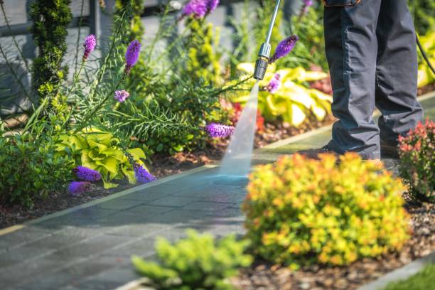 Best Pool Deck Cleaning  in Sturgeon Bay, WI